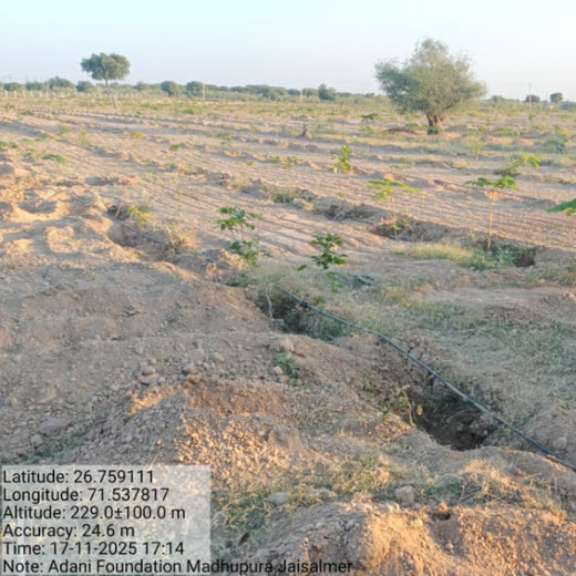 Greening Together: Adani Foundation’s Community-Led Afforestation – 2 years