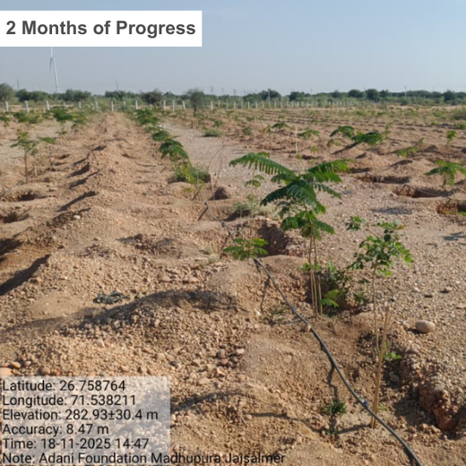 Greening Together: Adani Foundation’s Community-Led Afforestation – 2 years