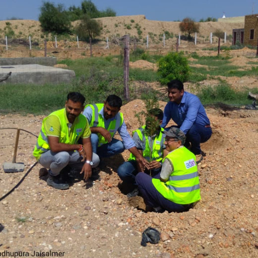 Greening Together: Adani Foundation’s Community-Led Afforestation – 6 months