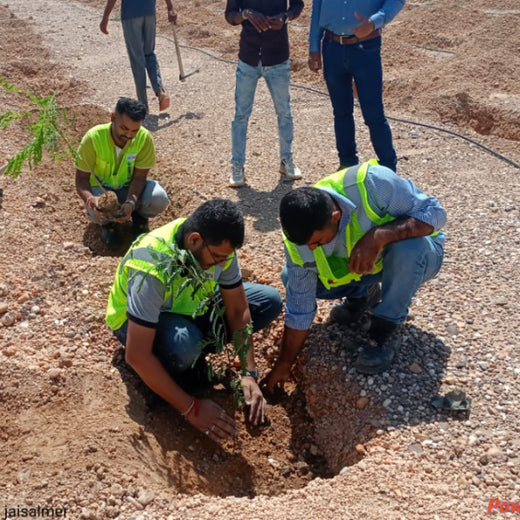 Greening Together: Adani Foundation’s Community-Led Afforestation – 6 months