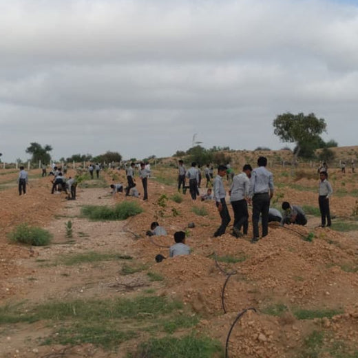 Greening Together: Adani Foundation’s Community-Led Afforestation – 6 months