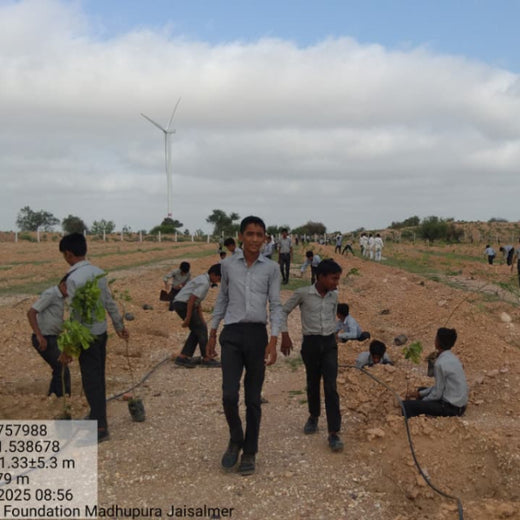 Greening Together: Adani Foundation’s Community-Led Afforestation – 6 months