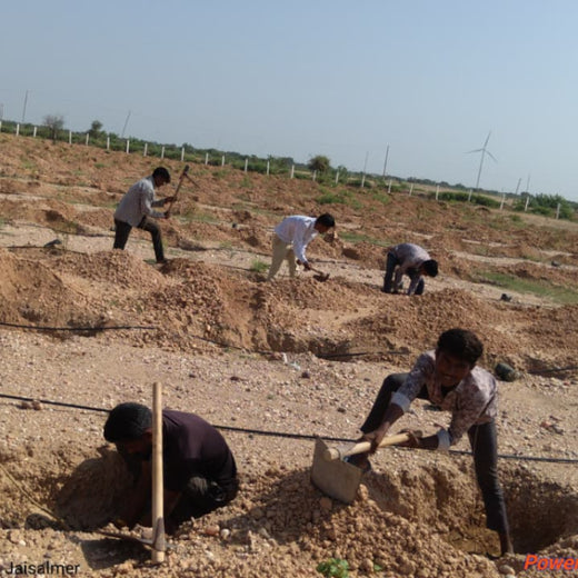 Greening Together: Adani Foundation’s Community-Led Afforestation – Planting