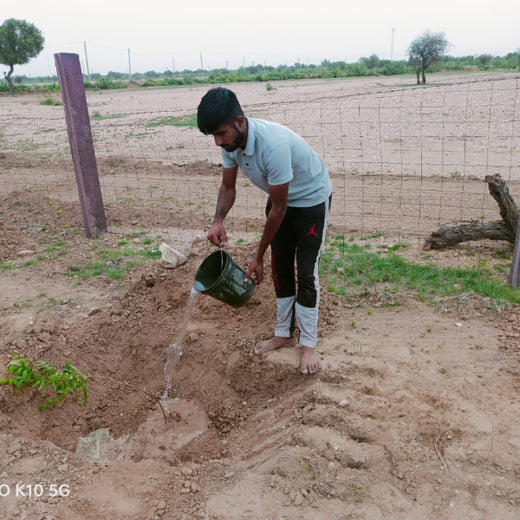 Greening Together: Adani Foundation’s Community-Led Afforestation – 6 months