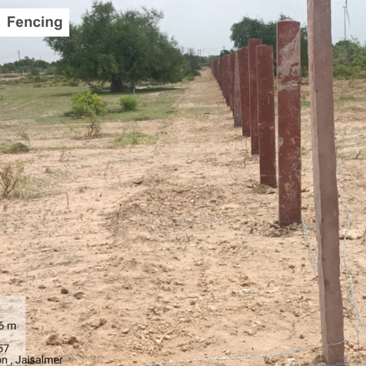 Greening Together: Adani Foundation’s Community-Led Afforestation – Planting