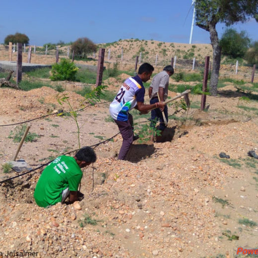 Greening Together: Adani Foundation’s Community-Led Afforestation – Planting