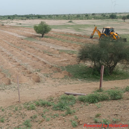 Greening Together: Adani Foundation’s Community-Led Afforestation – Planting