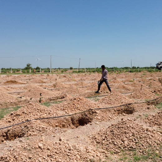 Greening Together: Adani Foundation’s Community-Led Afforestation – Planting