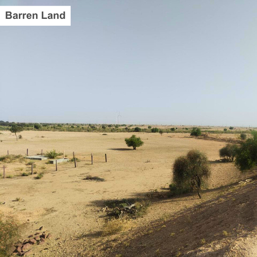 Greening Together: Adani Foundation’s Community-Led Afforestation – Planting