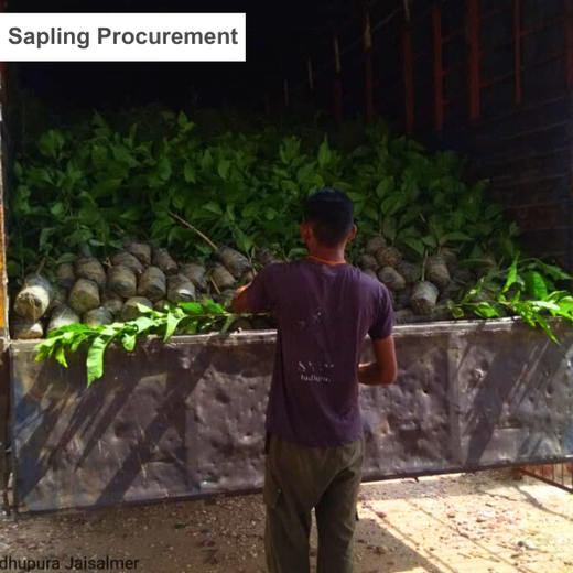Greening Together: Adani Foundation’s Community-Led Afforestation – Planting