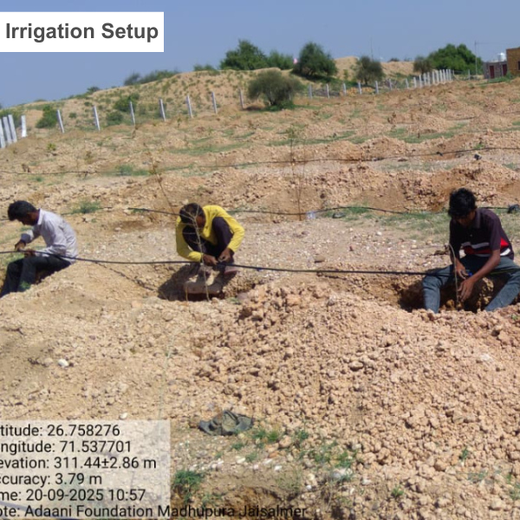 Greening Together: Adani Foundation’s Community-Led Afforestation – Planting