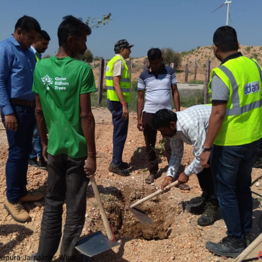 Greening Together: Adani Foundation’s Community-Led Afforestation – 6 months