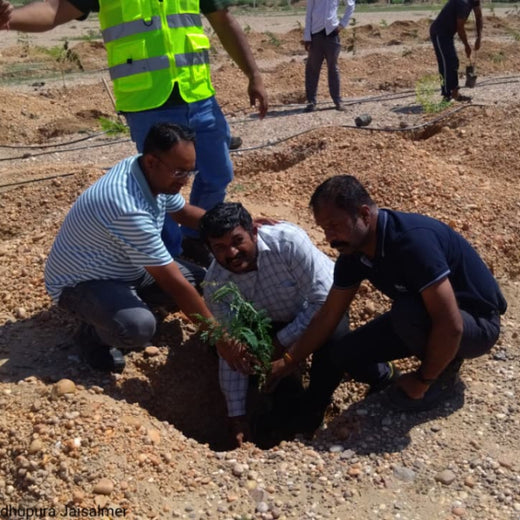 Greening Together: Adani Foundation’s Community-Led Afforestation – 6 months