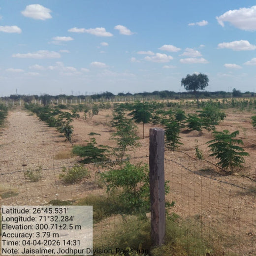 Greening Together: Adani Foundation’s Community-Led Afforestation – 2 years