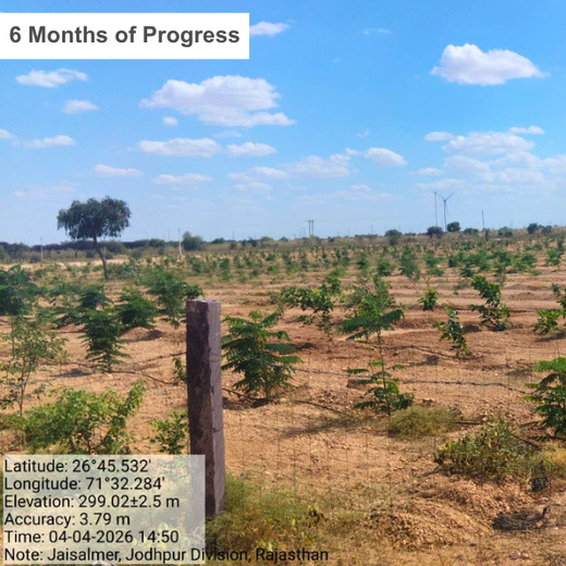 Greening Together: Adani Foundation’s Community-Led Afforestation – 2 years