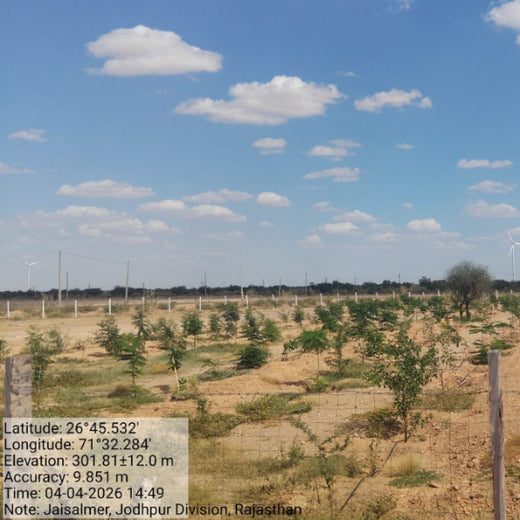 Greening Together: Adani Foundation’s Community-Led Afforestation – 2 years