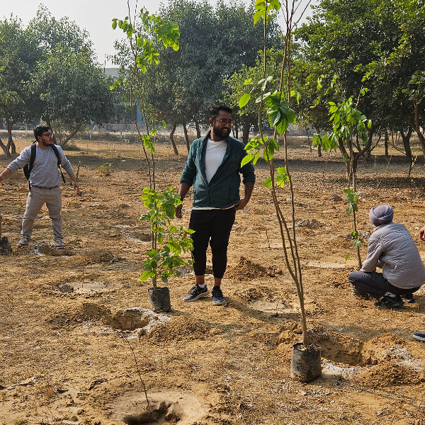 Tree Advancing Nurturing Connections: Advance Estimating’s Tree Plantation for Team ...