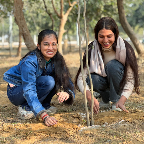 Trees for Colleagues: Meaningful Team Building Gifts at ₹299