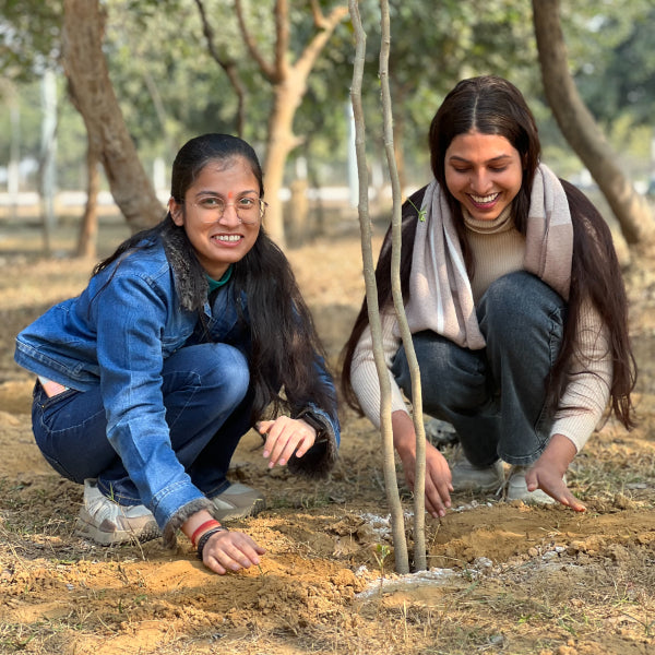 Trees for Colleagues: Meaningful Team Building Gifts at ₹299