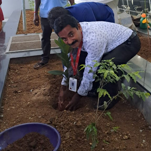 Sky High, Earth Deep: Air India’s Multi-City Tree Plantation for Earth Day – Planting