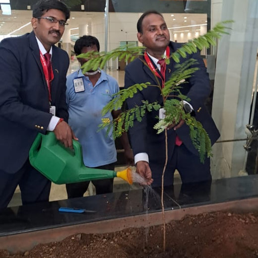 Sky High, Earth Deep: Air India’s Multi-City Tree Plantation for Earth Day – Planting