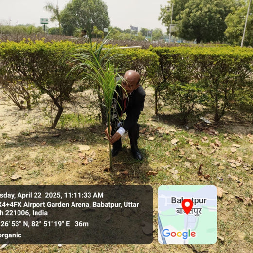 Sky High, Earth Deep: Air India’s Multi-City Tree Plantation for Earth Day – 1 year
