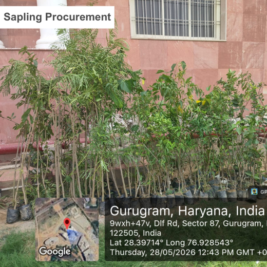 Green Steps Forward: Alvarez & Marsal’s Green Engagement Initiative – Planting