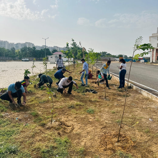 Green Steps Forward: Alvarez & Marsal’s Green Engagement Initiative – 6 months