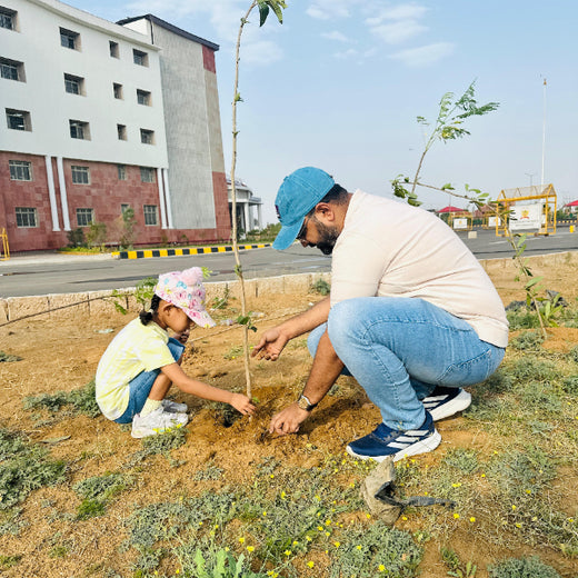 Green Steps Forward: Alvarez & Marsal’s Green Engagement Initiative – 6 months
