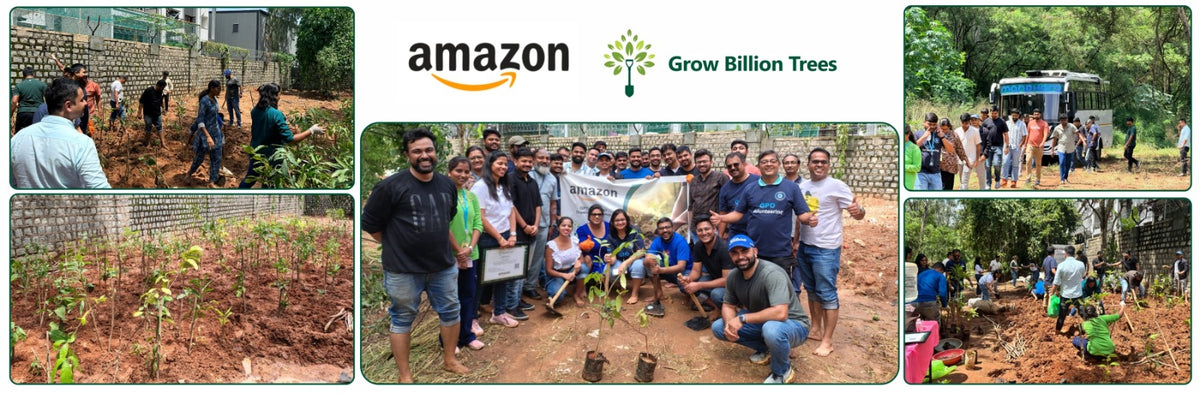 Urban Green Partnership: Amazon GPO-IN’s Global Step for Local Impact