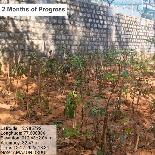 Urban Green Partnership: Amazon GPO-IN’s Global Step for Local Impact – 6 months