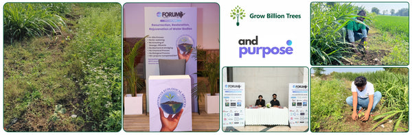 Planting for People and the Planet: AndPurpose’s Agroforest Initiative