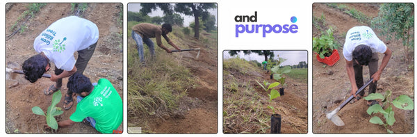 AndPurpose Presents EcoTribute: A Living Tribute to Purposeful Leadership