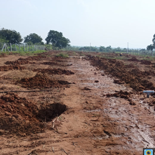 Apollo Tyres’ Mission to Boost Farmer Livelihoods and Tree cover in Andhra Pradesh – Planting