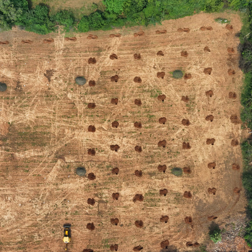 Apollo Tyres’ Mission to Boost Farmer Livelihoods and Tree cover in Andhra Pradesh – Planting