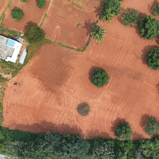 Apollo Tyres’ Mission to Boost Farmer Livelihoods and Tree cover in Andhra Pradesh – Planting