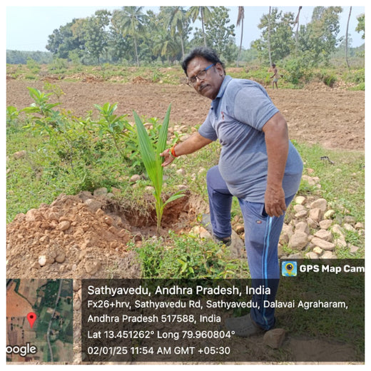 Apollo Tyres’ Mission to Boost Farmer Livelihoods and Tree cover in Andhra Pradesh – 1 year