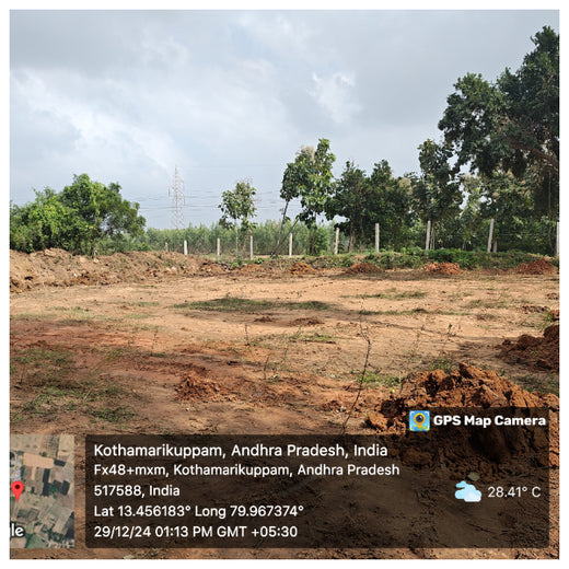 Apollo Tyres’ Mission to Boost Farmer Livelihoods and Tree cover in Andhra Pradesh – Planting