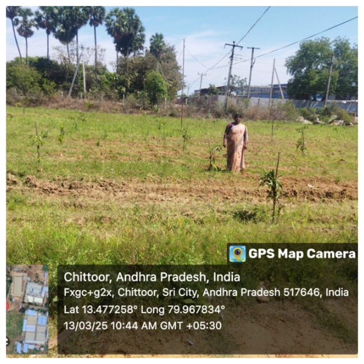 Apollo Tyres’ Mission to Boost Farmer Livelihoods and Tree cover in Andhra Pradesh – 1 year