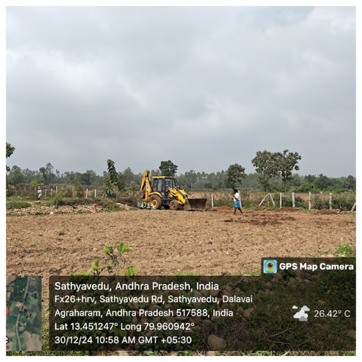Apollo Tyres’ Mission to Boost Farmer Livelihoods and Tree cover in Andhra Pradesh – Planting