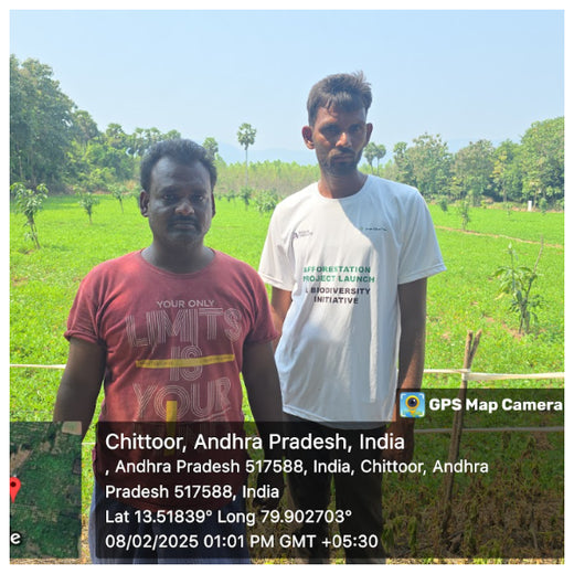 Apollo Tyres’ Mission to Boost Farmer Livelihoods and Tree cover in Andhra Pradesh – 1 year