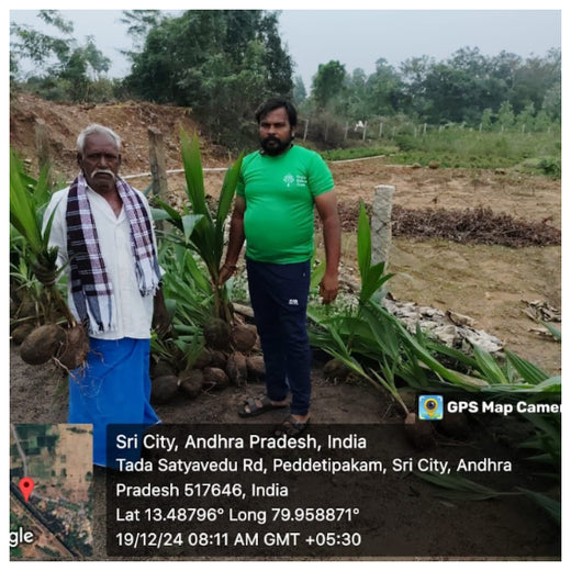 Apollo Tyres’ Mission to Boost Farmer Livelihoods and Tree cover in Andhra Pradesh – 1 year