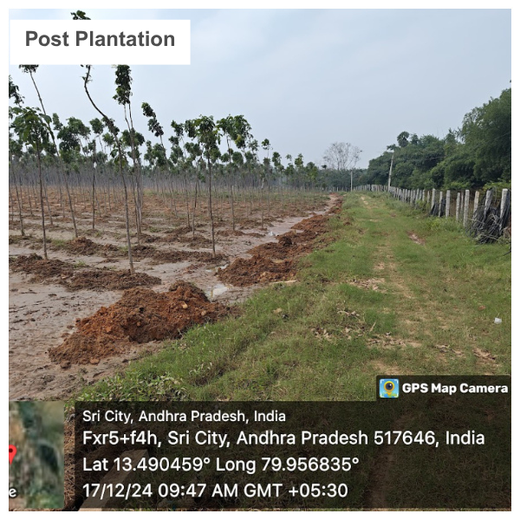 Apollo Tyres’ Mission to Boost Farmer Livelihoods and Tree cover in Andhra Pradesh – 1 year