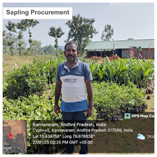 Apollo Tyres’ Mission to Boost Farmer Livelihoods and Tree cover in Andhra Pradesh – Planting