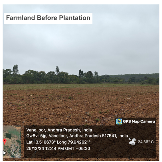 Apollo Tyres’ Mission to Boost Farmer Livelihoods and Tree cover in Andhra Pradesh – Planting