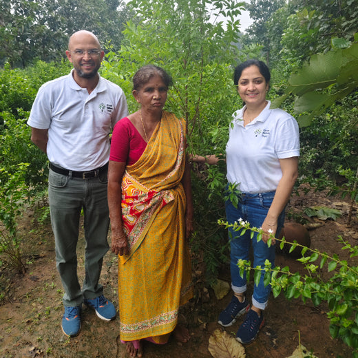 Apollo Tyres’ Mission to Boost Farmer Livelihoods and Tree cover in Andhra Pradesh – 2 years