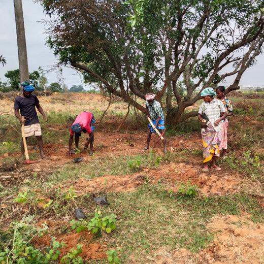 Apollo Tyres’ Mission to Boost Farmer Livelihoods and Tree cover in Andhra Pradesh – 1 year