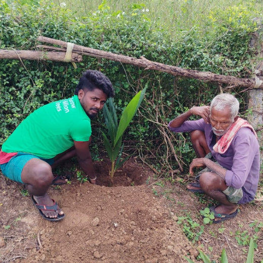 Apollo Tyres’ Mission to Boost Farmer Livelihoods and Tree cover in Andhra Pradesh – 1 year