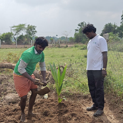 Apollo Tyres’ Mission to Boost Farmer Livelihoods and Tree cover in Andhra Pradesh – 1 year
