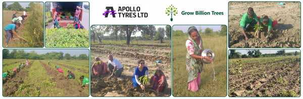 Apollo Tyres: Growing Livelihoods and Green Cover in Gujarat